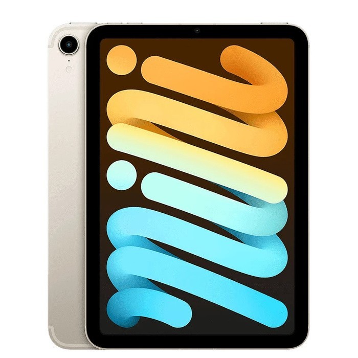 IPAD MINI 6TH GEN ( WIFI&CELLULAR) 256GB Starlight &Space grey