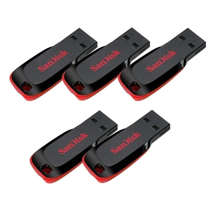 Sandisk Flash Disk